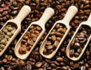 Giá cà phê hôm nay 5/8: Arabica tiếp tục tăng mạnh, trong nước gần 45.000 đồng/kg